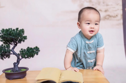 萍乡可爱的企鹅宝宝